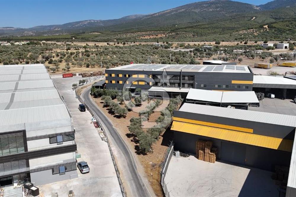 Kemalpaşa Sütçüler'de Satılık Arazi