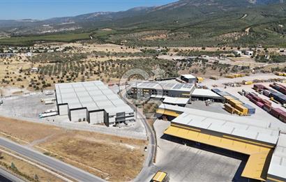 Kemalpaşa Sütçüler'de Satılık Arazi