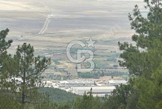 Acil Satılık Tarla Burdur Gökçebağ köyü 