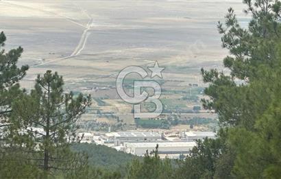 Acil Satılık Tarla Burdur Gökçebağ köyü 