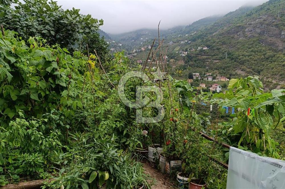 MAÇKA KIRANTAŞ'TA İÇİNDE EV OLAN 6900 M2 "UYGUN" SATILIK ARAZİ