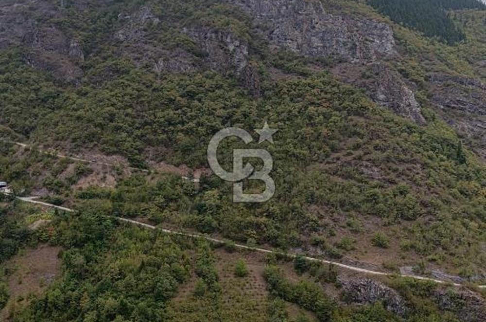 MAÇKA KIRANTAŞ'TA İÇİNDE EV OLAN 6900 M2 "UYGUN" SATILIK ARAZİ