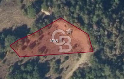 CB BLACK'TAN ORHANELİ'DE 2284 M2 SATILIK TARLA
