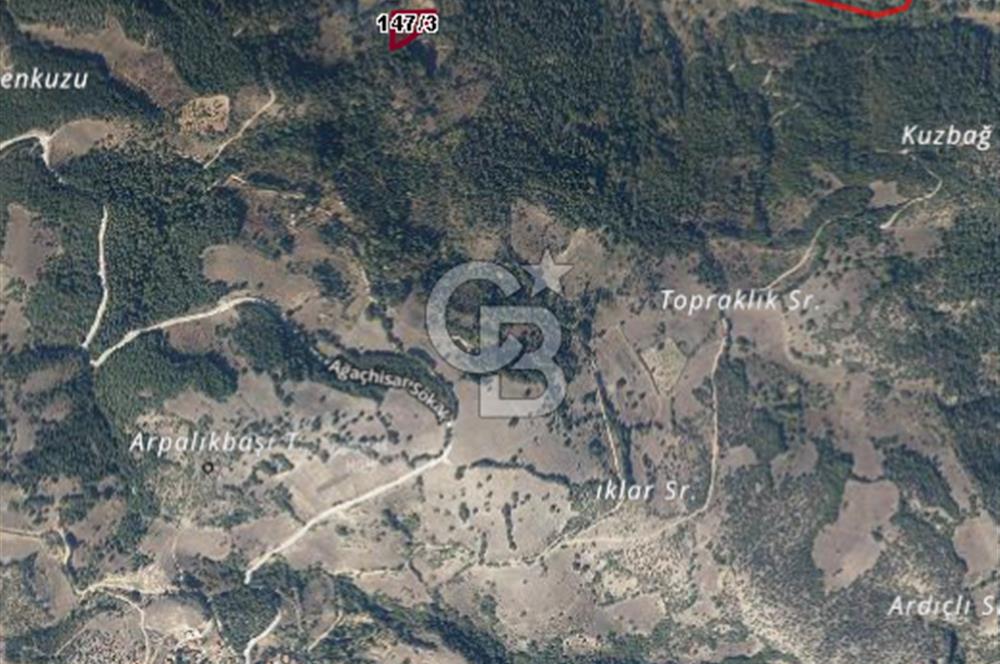 CB BLACK'TAN ORHANELİ'DE 2284 M2 SATILIK TARLA