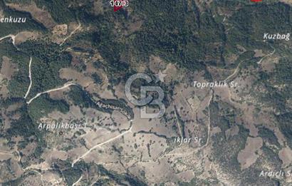 CB BLACK'TAN ORHANELİ'DE 2284 M2 SATILIK TARLA