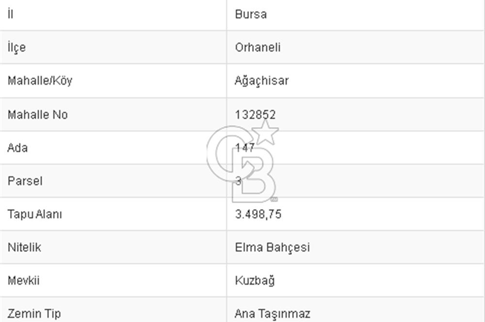 CB BLACK'TAN ORHANELİ'DE 2284 M2 SATILIK TARLA