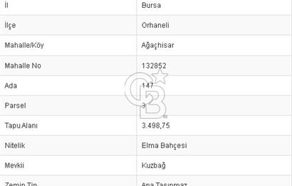 CB BLACK'TAN ORHANELİ'DE 2284 M2 SATILIK TARLA