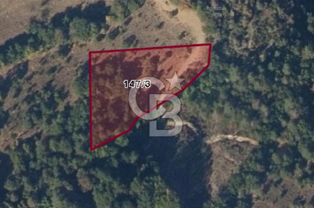 CB BLACK'TAN ORHANELİ'DE 2284 M2 SATILIK TARLA