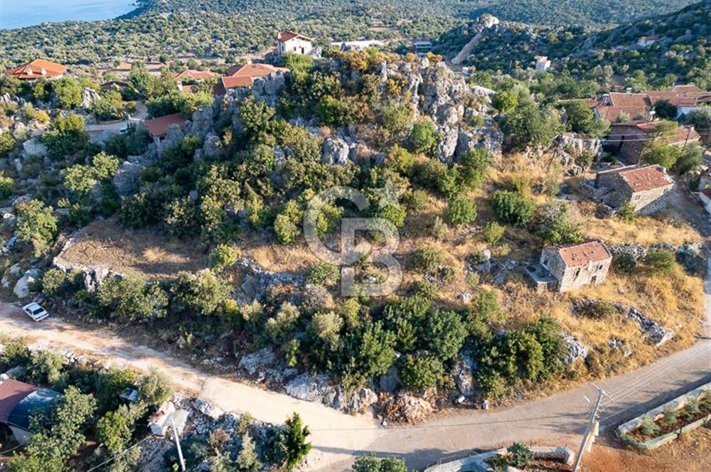 CB ARDENDEN ANTALYA DEMRE KAPAKLIDA 1452 M2 SATILIK TARLA