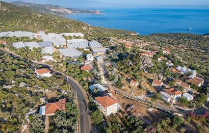 CB ARDENDEN ANTALYA DEMRE KAPAKLIDA 1452 M2 SATILIK TARLA