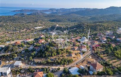 CB ARDENDEN ANTALYA DEMRE KAPAKLIDA 1452 M2 SATILIK TARLA