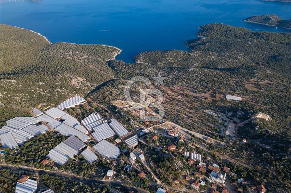 CB ARDENDEN ANTALYA DEMRE KAPAKLIDA 1452 M2 SATILIK TARLA