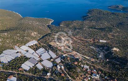CB ARDENDEN ANTALYA DEMRE KAPAKLIDA 1452 M2 SATILIK TARLA