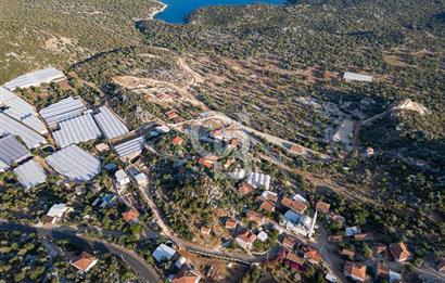 CB ARDENDEN ANTALYA DEMRE KAPAKLIDA 1452 M2 SATILIK TARLA
