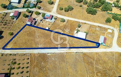 Torbalı Çapak Mahallesinde Satılık Müstakil Tapulu 1271 m2 Tarla
