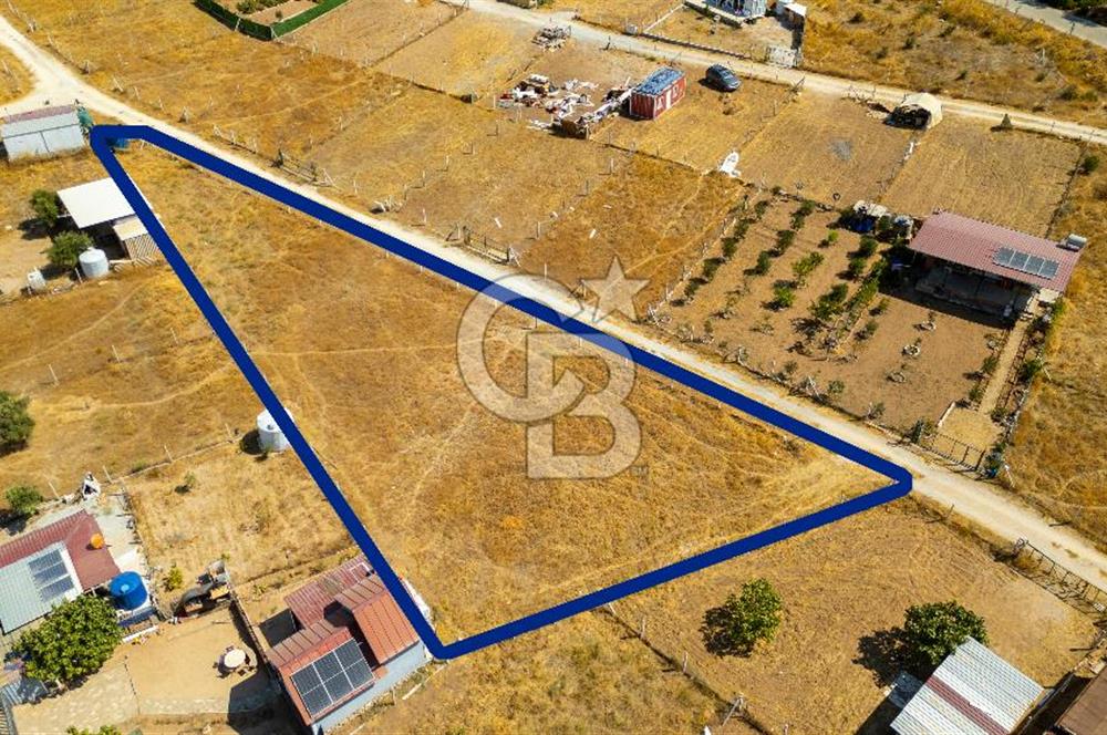 Torbalı Çapak Mahallesinde Satılık Müstakil Tapulu 1271 m2 Tarla