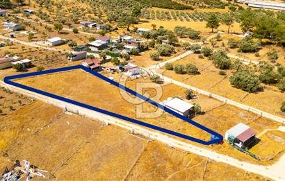 Torbalı Çapak Mahallesinde Satılık Müstakil Tapulu 1271 m2 Tarla