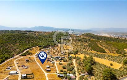 Torbalı Çapak Mahallesinde Satılık Müstakil Tapulu 1271 m2 Tarla