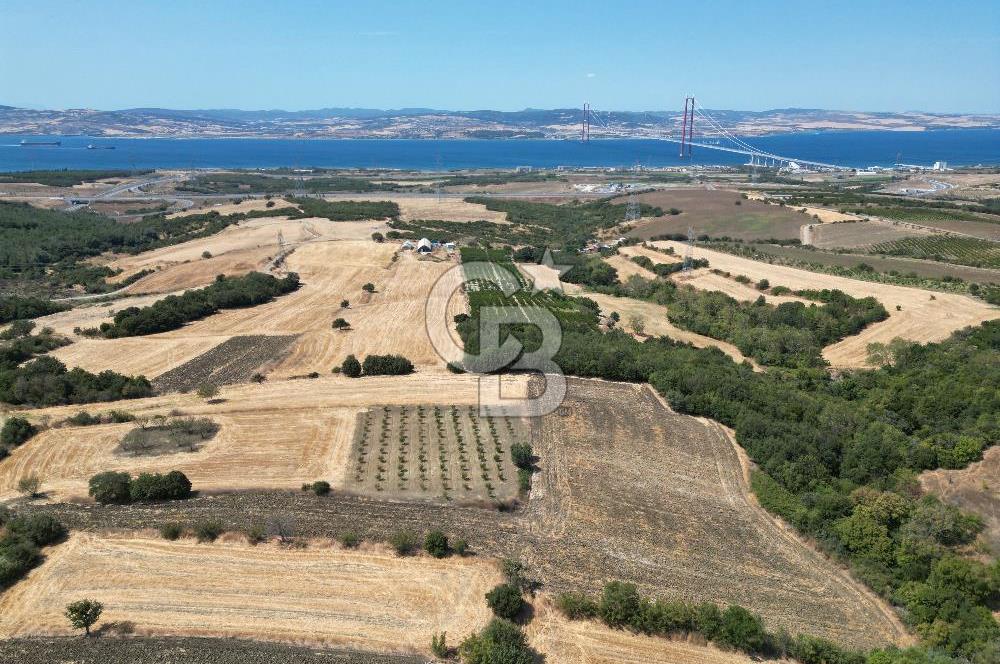 ÇANAKKALE KOCAVELİ'DE KÖPRÜ VE DENİZ MANZARALI SATILIK TARLA