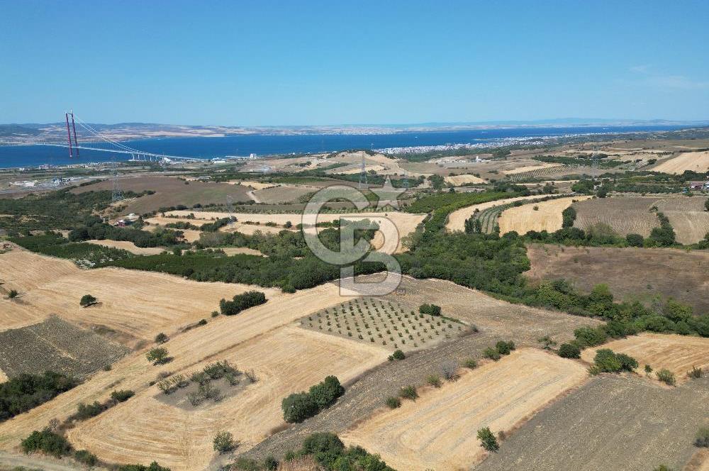 ÇANAKKALE KOCAVELİ'DE KÖPRÜ VE DENİZ MANZARALI SATILIK TARLA