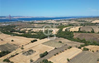 ÇANAKKALE KOCAVELİ'DE KÖPRÜ VE DENİZ MANZARALI SATILIK TARLA