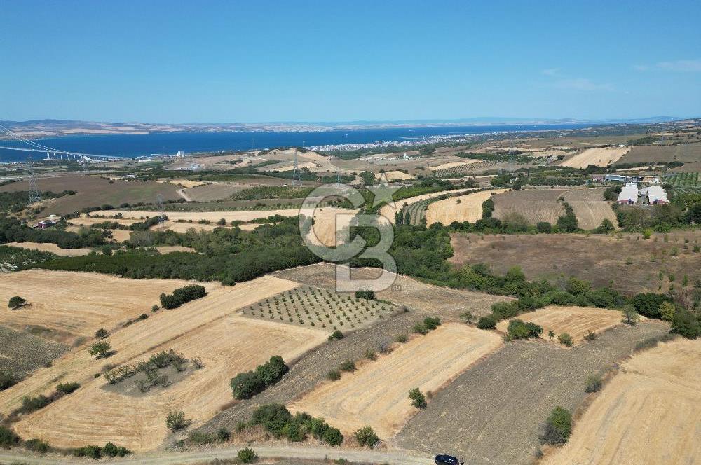 ÇANAKKALE KOCAVELİ'DE KÖPRÜ VE DENİZ MANZARALI SATILIK TARLA