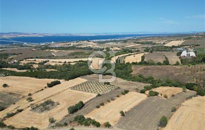 ÇANAKKALE KOCAVELİ'DE KÖPRÜ VE DENİZ MANZARALI SATILIK TARLA