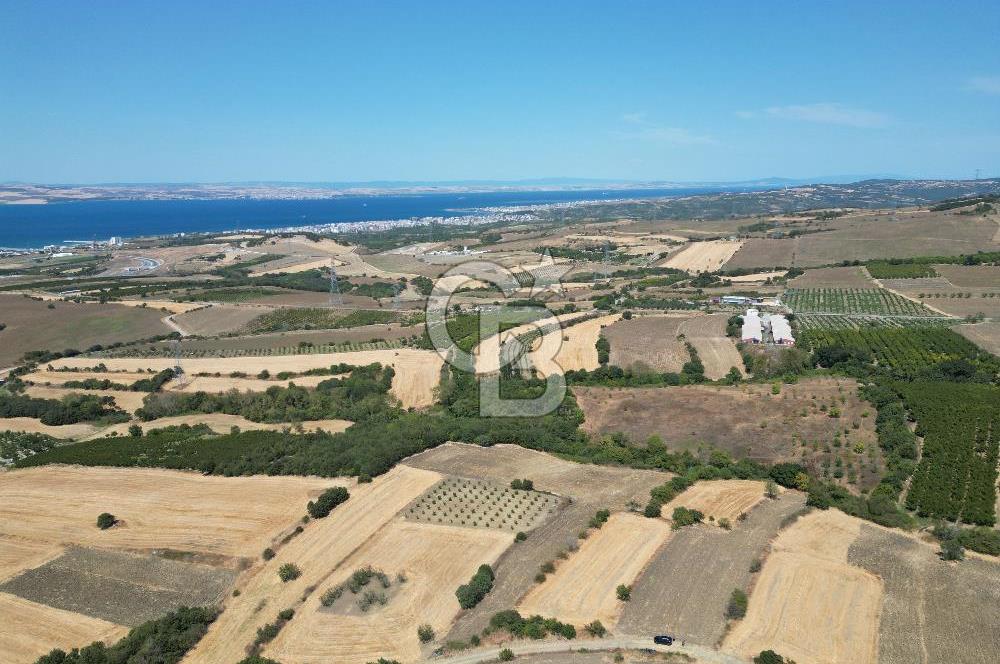 ÇANAKKALE KOCAVELİ'DE KÖPRÜ VE DENİZ MANZARALI SATILIK TARLA