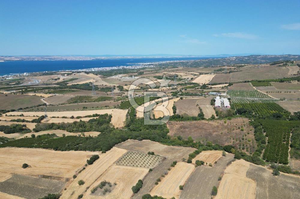 ÇANAKKALE KOCAVELİ'DE KÖPRÜ VE DENİZ MANZARALI SATILIK TARLA