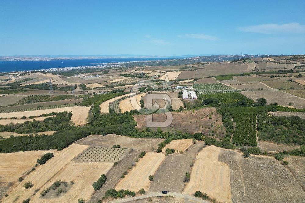 ÇANAKKALE KOCAVELİ'DE KÖPRÜ VE DENİZ MANZARALI SATILIK TARLA