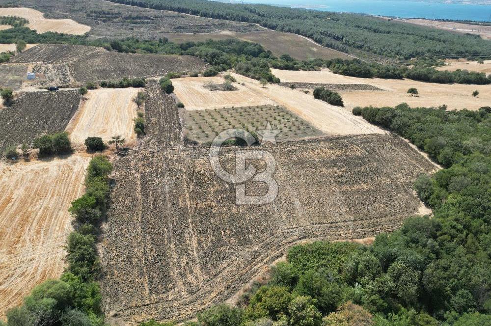 ÇANAKKALE KOCAVELİ'DE KÖPRÜ VE DENİZ MANZARALI SATILIK TARLA