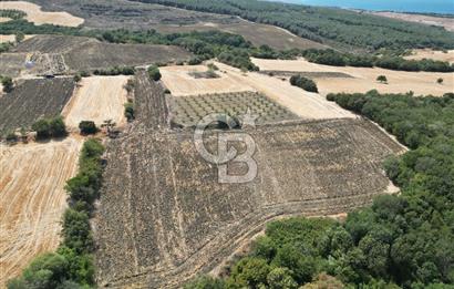 ÇANAKKALE KOCAVELİ'DE KÖPRÜ VE DENİZ MANZARALI SATILIK TARLA