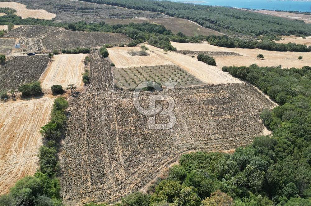 ÇANAKKALE KOCAVELİ'DE KÖPRÜ VE DENİZ MANZARALI SATILIK TARLA