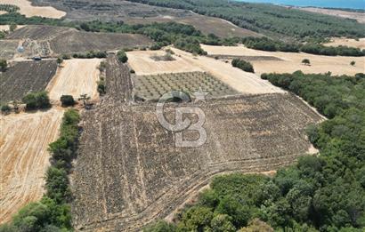 ÇANAKKALE KOCAVELİ'DE KÖPRÜ VE DENİZ MANZARALI SATILIK TARLA