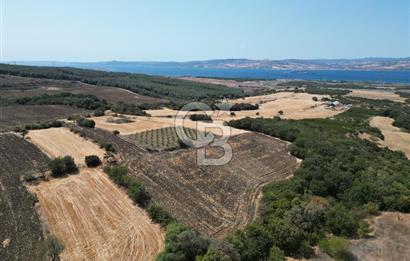 ÇANAKKALE KOCAVELİ'DE KÖPRÜ VE DENİZ MANZARALI SATILIK TARLA