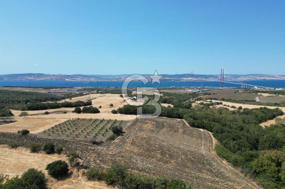 ÇANAKKALE KOCAVELİ'DE KÖPRÜ VE DENİZ MANZARALI SATILIK TARLA