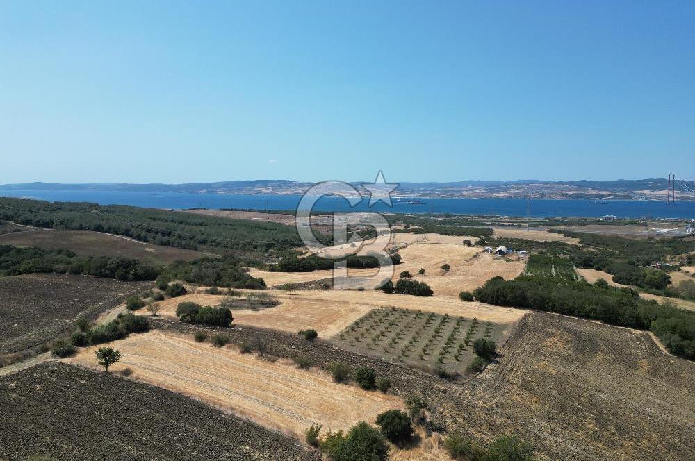 ÇANAKKALE KOCAVELİ'DE KÖPRÜ VE DENİZ MANZARALI SATILIK TARLA