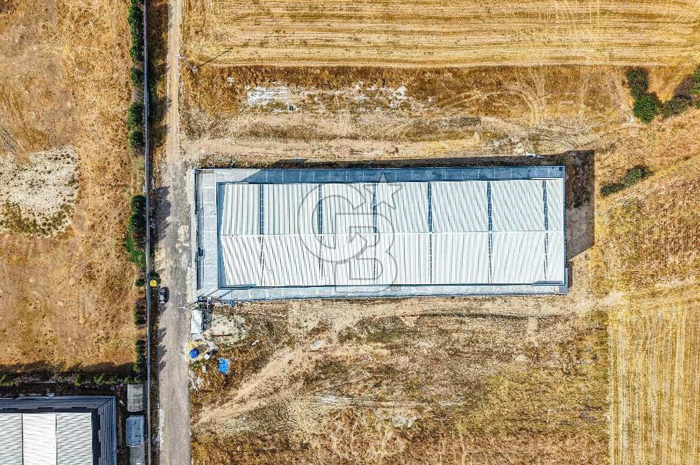 Veliköy Osb Yanı Kiralık