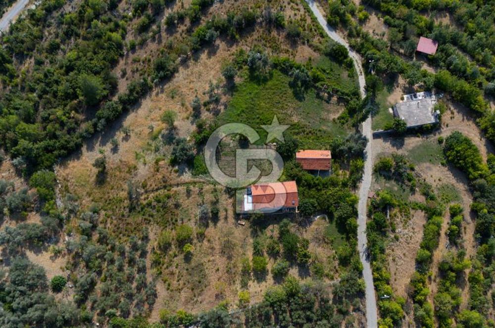 ÇÖĞMEN'DE GÖCEK VE MUHTEŞEM KOYLARA YAKIN KÖY "TARLA"