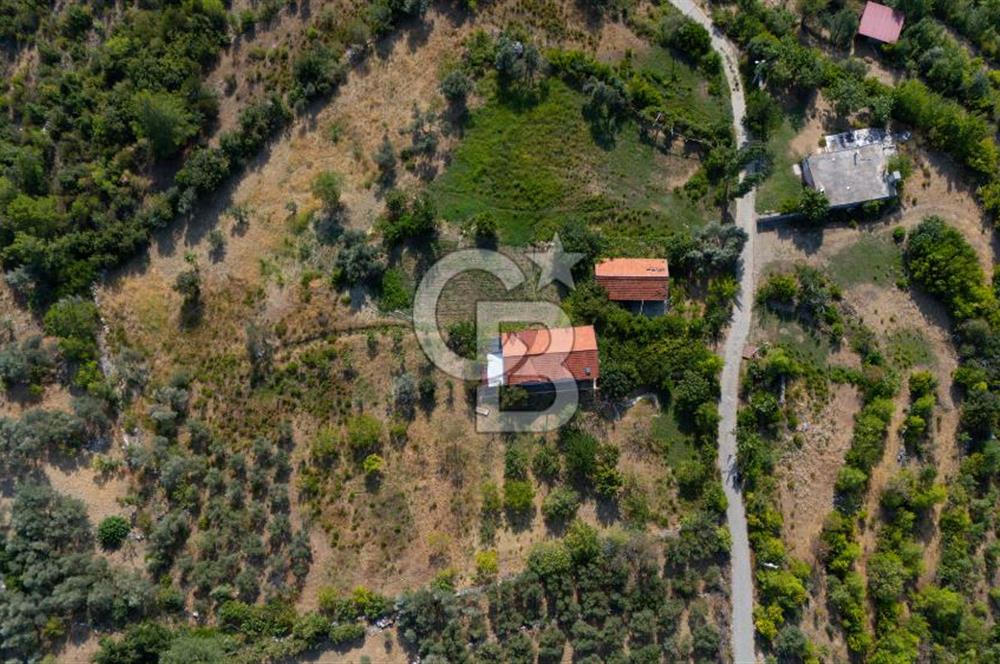 ÇÖĞMEN'DE GÖCEK VE MUHTEŞEM KOYLARA YAKIN KÖY "TARLA"