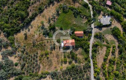 ÇÖĞMEN'DE GÖCEK VE MUHTEŞEM KOYLARA YAKIN KÖY "TARLA"