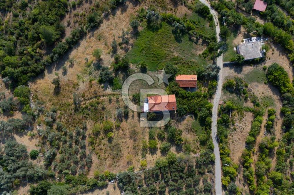 ÇÖĞMEN'DE GÖCEK VE MUHTEŞEM KOYLARA YAKIN KÖY "TARLA"
