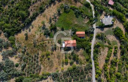 ÇÖĞMEN'DE GÖCEK VE MUHTEŞEM KOYLARA YAKIN KÖY "TARLA"
