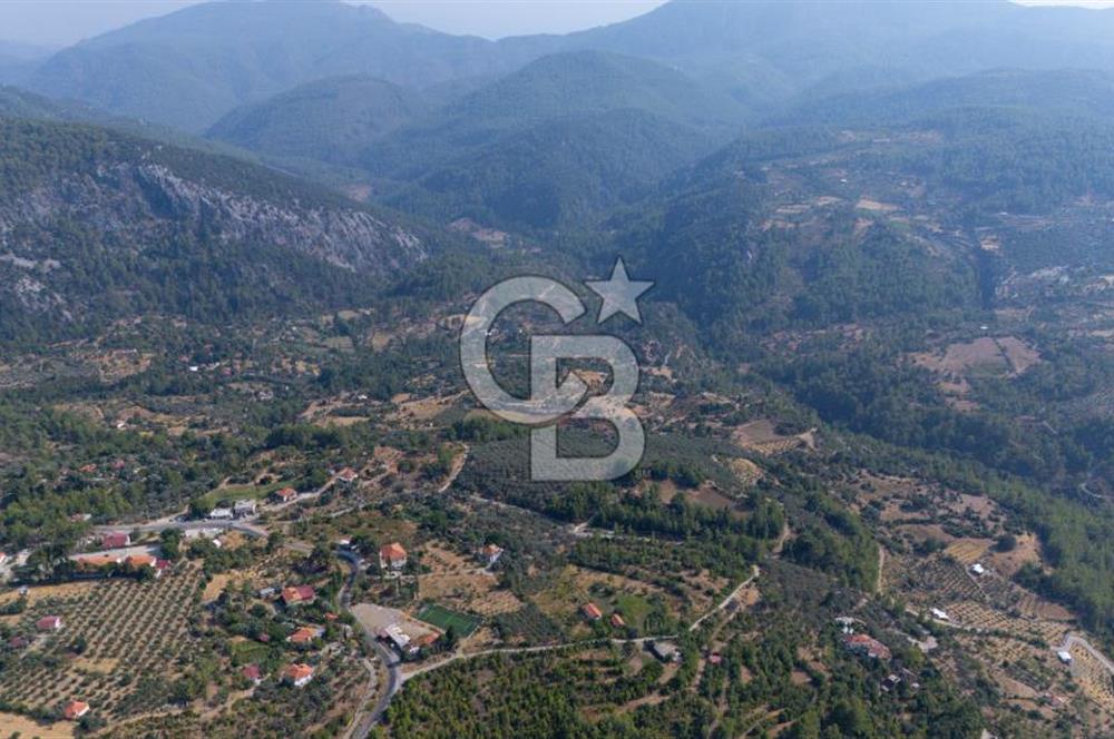 ÇÖĞMEN'DE GÖCEK VE MUHTEŞEM KOYLARA YAKIN KÖY "TARLA"