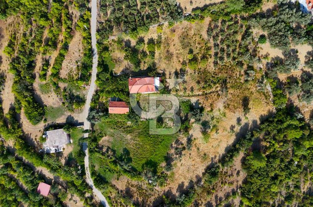 ÇÖĞMEN'DE GÖCEK VE MUHTEŞEM KOYLARA YAKIN KÖY "TARLA"
