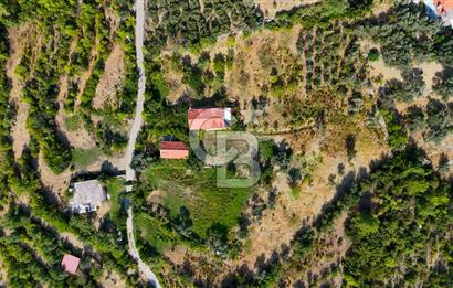 ÇÖĞMEN'DE GÖCEK VE MUHTEŞEM KOYLARA YAKIN KÖY "TARLA"