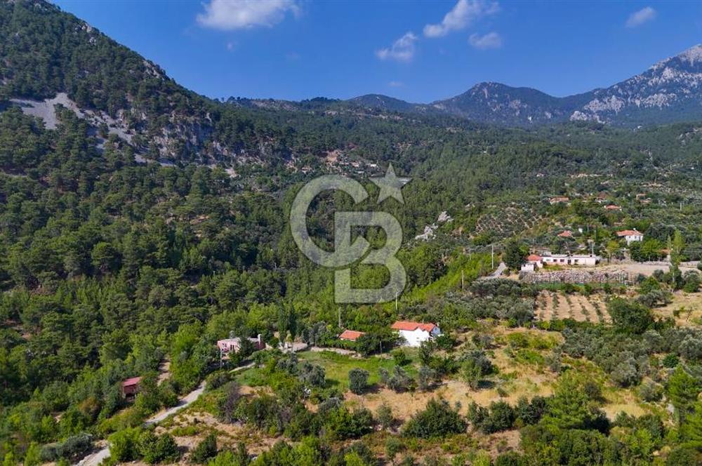 ÇÖĞMEN'DE GÖCEK VE MUHTEŞEM KOYLARA YAKIN KÖY "TARLA"