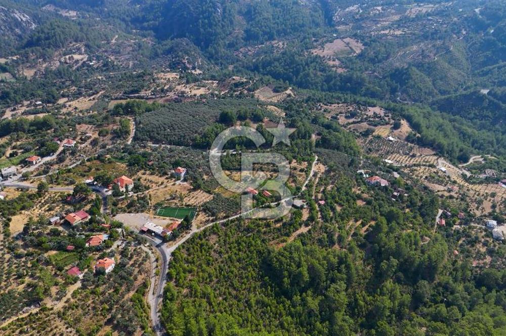 ÇÖĞMEN'DE GÖCEK VE MUHTEŞEM KOYLARA YAKIN KÖY "TARLA"