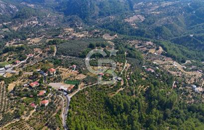 ÇÖĞMEN'DE GÖCEK VE MUHTEŞEM KOYLARA YAKIN KÖY "TARLA"