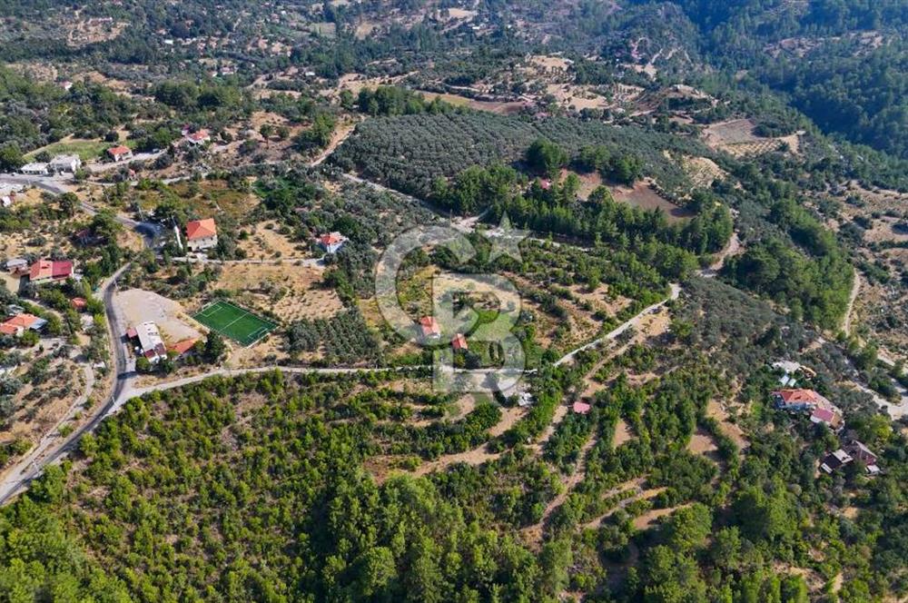 ÇÖĞMEN'DE GÖCEK VE MUHTEŞEM KOYLARA YAKIN KÖY "TARLA"